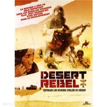 Ishumars les rockers du désert