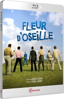Fleur d'oseille