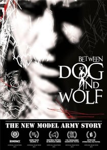 The New Model Army story : between dog and wolf