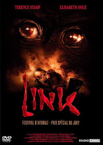 Link