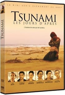 Tsunami : les jours d'après
