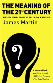 The meaning of the 21st century - a vital blueprint for ensuring our future