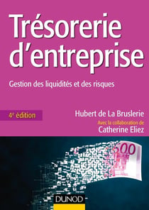 Trésorerie d'entreprise - 4e éd. - Gestion des liquidités et des risques