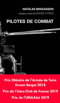 Pilotes de combat