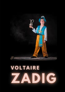 Zadig - ou la destinée
