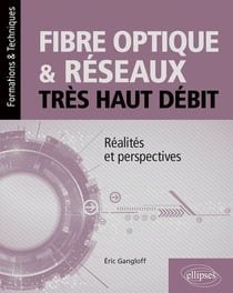 Fibre optique et reseaux tres haut debit - realites et perspectives