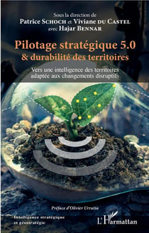 Pilotage stratégique 5.0 et durabilité des territoires - vers une intelligence des territoires adaptée aux changements disruptifs²