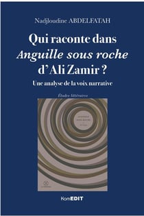 Qui raconte dans anguille sous roche d'Ali Zamir ? une analyse de la voix narrative
