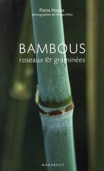 Bambous, roseaux et graminées