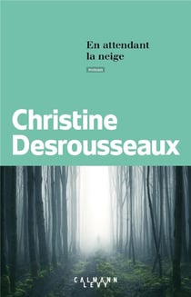 En attendant la neige