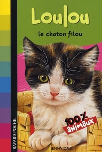 Loulou le chaton filou