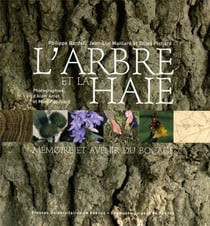 L'arbre et la haie - le bocage breton