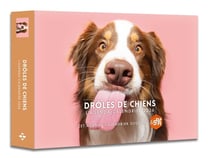Agenda-calendrier : Drôles de chiens (édition 2026)