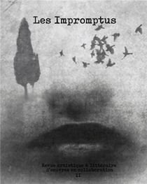 Les impromptus t.2 - revue artistique littéraire d'oeuvres en collaboration