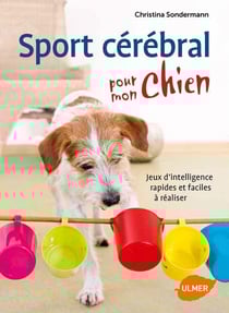 Sport cérébral pour mon chien - jeux d'intelligence rapides et faciles à réaliser