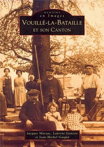 Vouille-la-Bataille et son canton