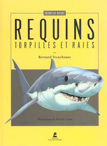 Les requins, les torpilles et les raies