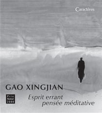 Esprit errant pensée méditative