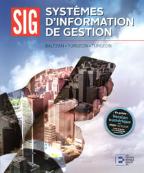 Systèmes d'information de gestion