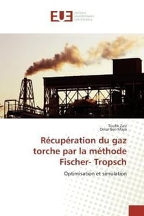 Recuperation du gaz torche par la methode fischer- tropsch - optimisation et simulation