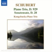 Trio Pour Piano D.929 - Sonatensatz D.28