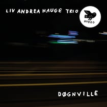 Døgnville