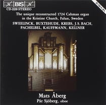 Kristine church organ