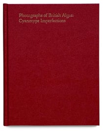 Photographs of British Algae : Cyanotype imperfections