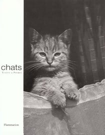 Les chats
