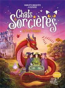 Chats & sorcières Tome 3 : le puits magique