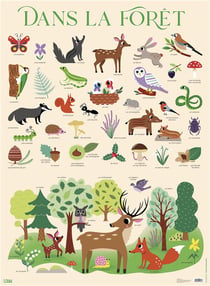 POSTER DANS LA FORET MIN 5