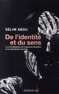 De l'identite et du sens