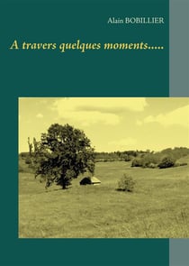 À travers quelques moments.....