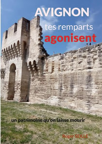 Avignon, tes remparts agonisent : Un patrimoine mondial qu'on laisse mourir