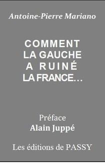 Comment la gauche a ruiné la France