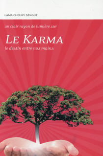 Le karma - le destin entre nos mains