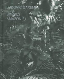 Brésils - Amazonie