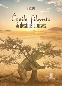 Étoile filante & destins croisés