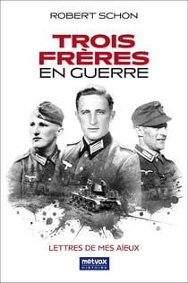 Trois Frères en Guerre : Lettres de mes aïeux