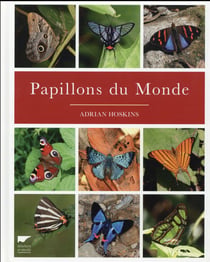 Papillons du monde