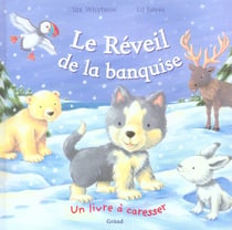 Le reveil de la banquise