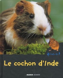 Le cochon d'inde