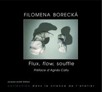 Filomena Borecka Flux, flow, souffle