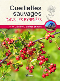 Cueillettes sauvages dans les Pyrénées