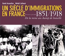 Un siècle d'immigrations en france, 1851-1918 - de la mine au champ de bataille