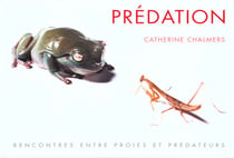 Predation