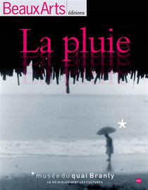 La pluie - musée du Quai Branly
