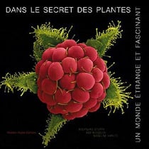 Dans le secret des plantes - un monde étrange et fascinant