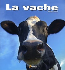 Le vache