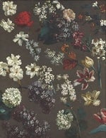 Desportes - catalogue raisonné